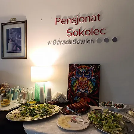 Guest house Pensjonat Sokolec